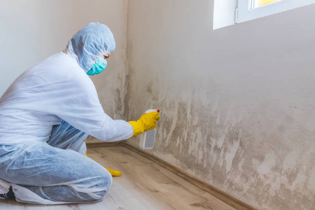 Licensed Mold Testing service in Woburn, MA - WQB Mold Removal