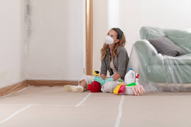 Reliable Mold Testing contractor in Woburn, MA by WQB Mold Removal